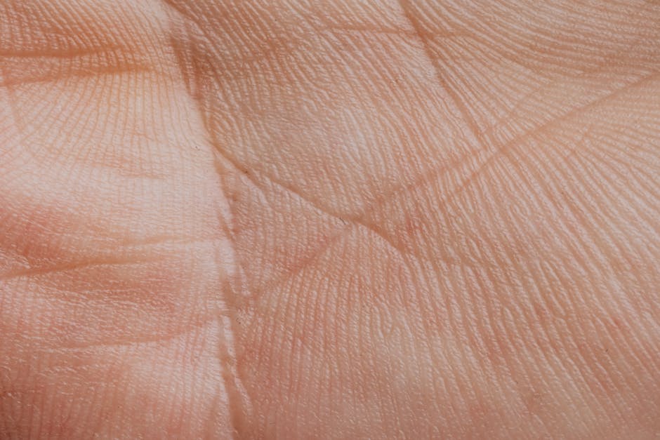 best moisturizer for dry skin winter India non greasy