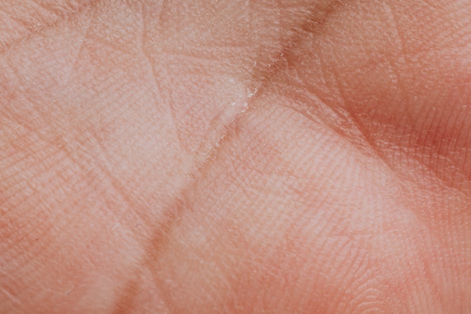 best moisturizer for dry skin winter India non greasy